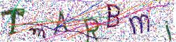 CAPTCHA visuel